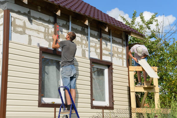 Best Stone Veneer Siding  in Knoxville, IA