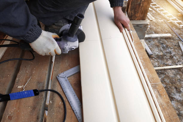 Best Historical Building Siding Restoration  in Knoxville, IA